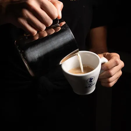 哥尔特德尔帕乔酒店 明乔河畔的瓦雷奇奥